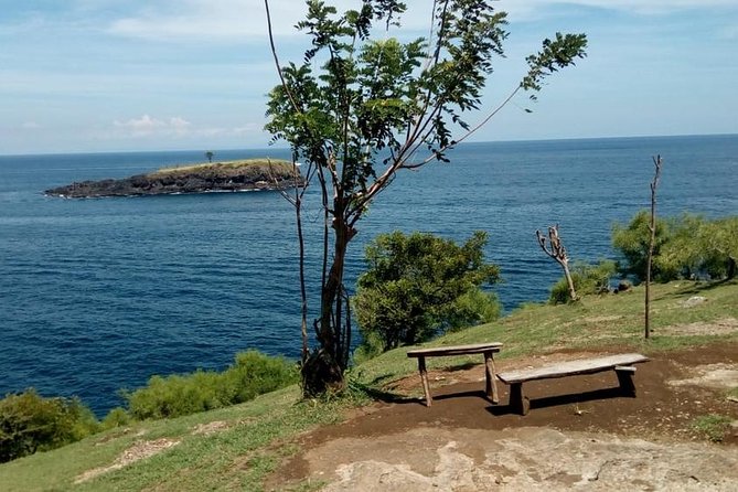 Bali Instagram: Gate of Heaven Tour - Uma Ceking’s rice-terrace swing