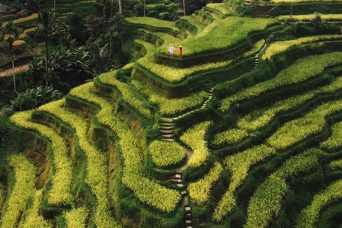 Bali Instagram Tour - All Inclusive - Why This Tour Works Best as a Private Day