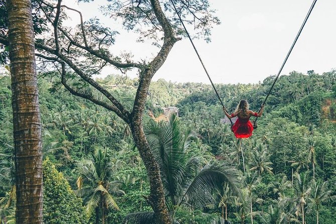 Bali Instagram Tour from Your Hotel (Private & Full-day) - Tirta Gangga and the former royal gardens