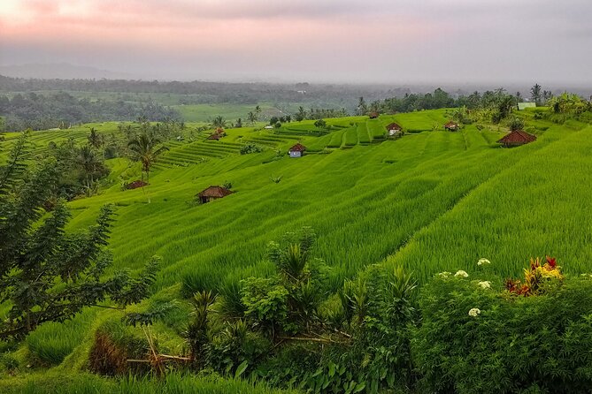 Bali Instagram Tour - Lempuyang Bali Gate of Heaven - How much does the guide affect the experience?