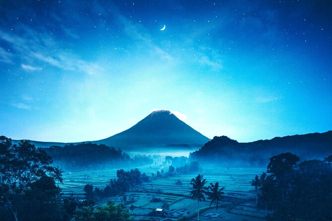 Bali Instagram Tour- Most Scenic Spots in Bali - Tunas Bali Luwak Coffee and the plantation stop
