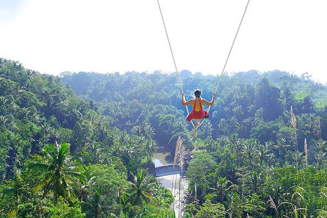 Bali Jungle Swing and White Water Rafting All Inclusive - Key points before you book