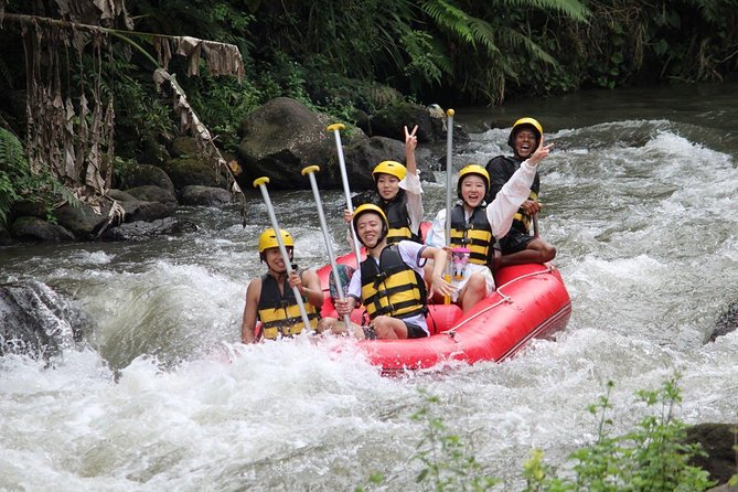 Bali Jungle Swing and White Water Rafting All Inclusive - Guides, group size, and the human side
