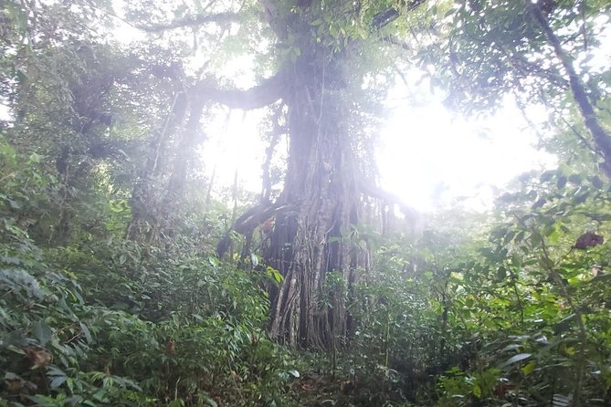 Bali Jungle Trekking and Lake Canoeing Tour - The optional southern Bali stops