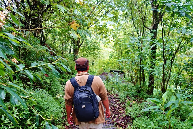 Bali Jungle Trekking in Beautiful Rainforest - Buyan Lake and Bali’s Twin Lakes