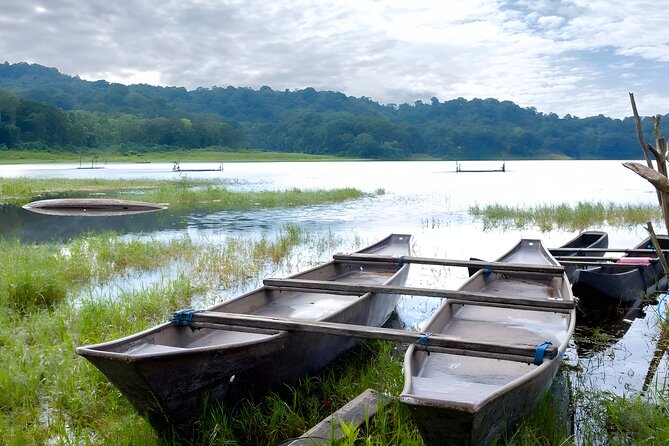 Bali Jungle Trekking in Beautiful Rainforest - Guide quality and the private-tour advantage