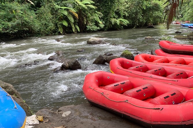 Bali Jungle White Water Rafting Adventure - Hotel Transfers and the Real Time Cost