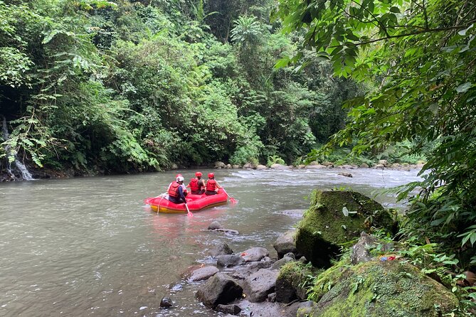 Bali Jungle White Water Rafting Adventure - Is $51.29 Good Value?