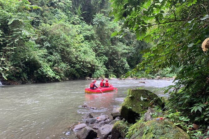 Bali Jungle White Water Rafting Adventure - Who Will Enjoy This Adventure Most?