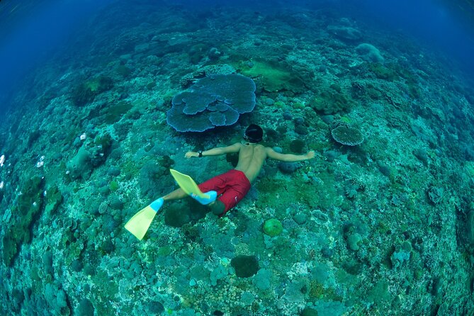 Bali Lembongan Island Beach Club Day Trip - How much value do you get for $147.44?