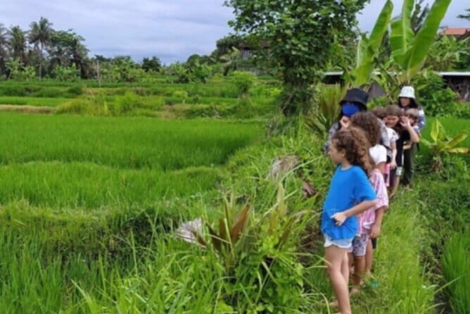 Bali: Lempuyang Temple, Waterfall & Rice Terrace Private Tour - Tukad Cepung Waterfall in a Cave-Like Setting