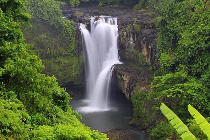 Bali Lempuyang Temple, Waterfall with Rice Terrace Tour - Swinging above rice fields at Ristorante Lereng Agung