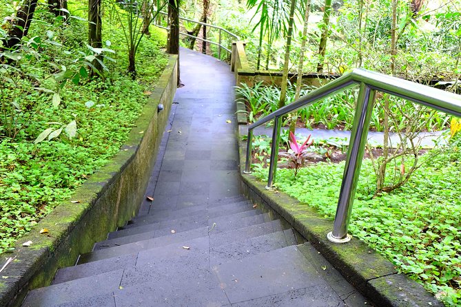 Bali Mason Adventure White Water Rafting - Is $75 a fair price?