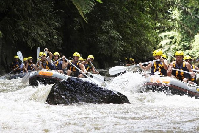 Bali Mason Adventure White Water Rafting - Safety, equipment, and the one serious warning