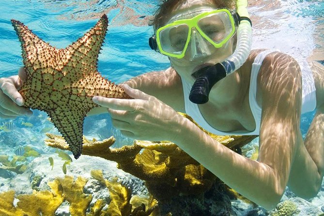 Bali Menjangan Island Snorkeling Day Tour - The Long Return Drive Matters