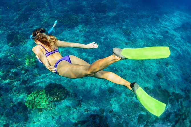 Bali Menjangan Island Snorkeling Day Tour - Who Will Enjoy This Menjangan Tour Most?