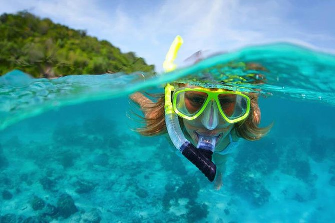 Bali Menjangan Island Snorkeling Day Tour - Stop Two: Reaching Menjangan Island