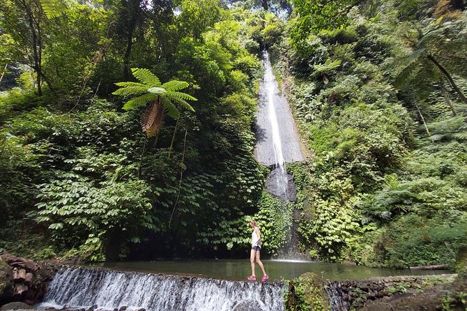 Bali Most Scenic Waterfalls Trekking - Swimming, jumping, and setting your own pace