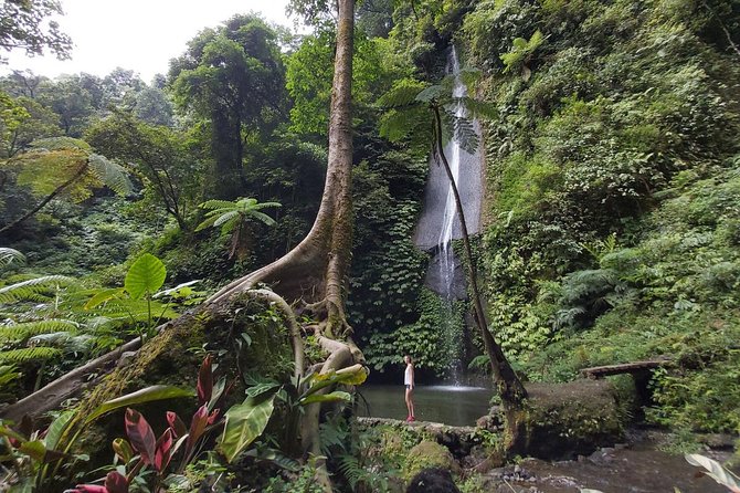 Bali Most Scenic Waterfalls Trekking - Who will enjoy this trek most
