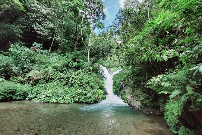 Bali Most Scenic Waterfalls Trekking - Walking the seven-waterfall route