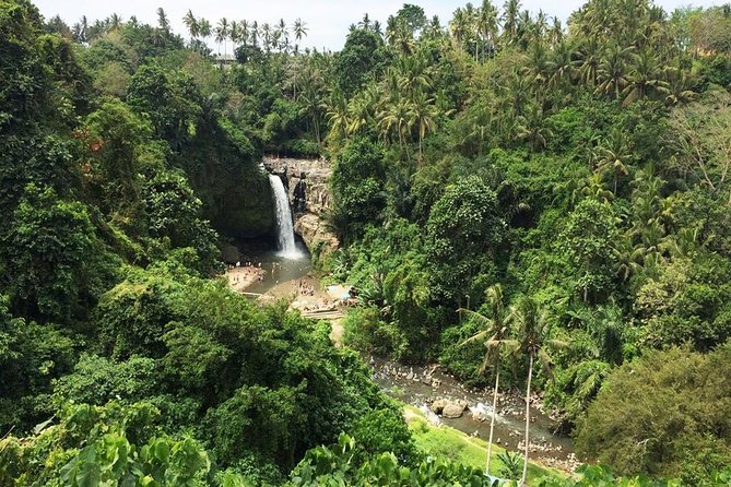 Bali Night Market Experience and Ubud Highlights tour - Gianyar Street Night Market and a local dinner