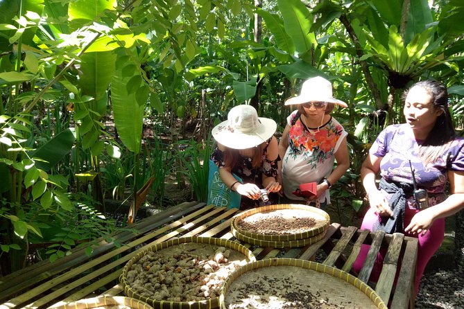 Bali Night Market Experience and Ubud Highlights tour - The guide can shape the quality of the day