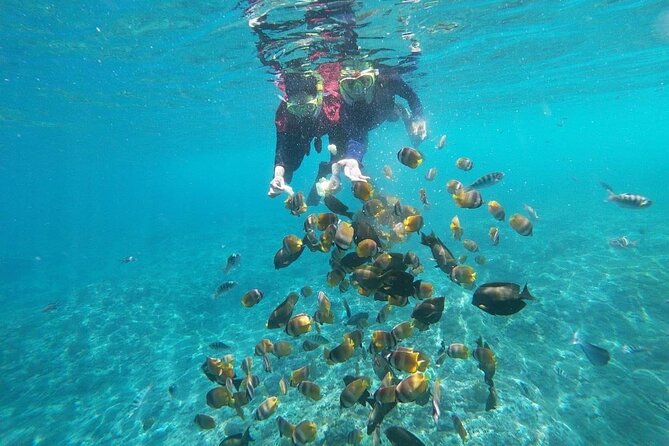 Bali Nusa Penida and Private Snorkeling (Manta Bay, Gamat, Wall) - Manta Bay: the main reason to book