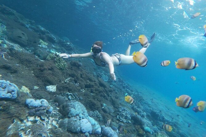 Bali Nusa Penida and Private Snorkeling (Manta Bay, Gamat, Wall) - Wall Bay Point and the final snorkeling session