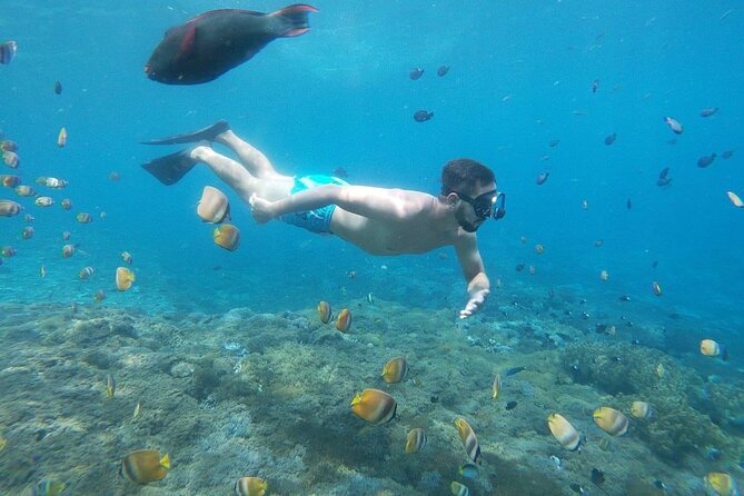 Bali Nusa Penida and Private Snorkeling (Manta Bay, Gamat, Wall) - Guides, lunch, equipment, and comfort