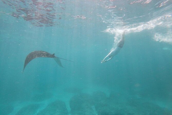 Bali Nusa Penida and Private Snorkeling (Manta Bay, Gamat, Wall) - Kelingking Beach: a quick look at the famous cliff