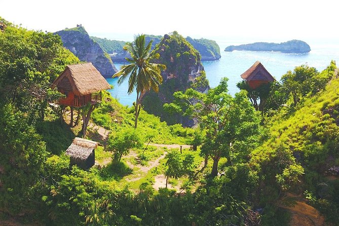 Bali-Nusa Penida. East Part. Private car. All-inclusive - The Molenteng Tree House and its famous view
