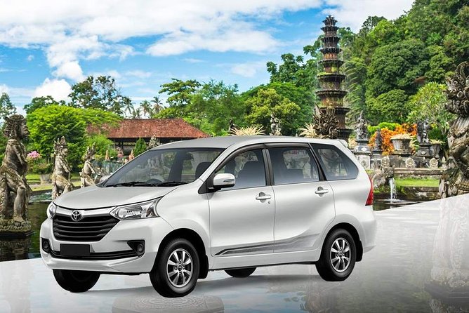Bali Private Car and Customize Tour With English Speaking Driver - What the $29 private tour really gives you