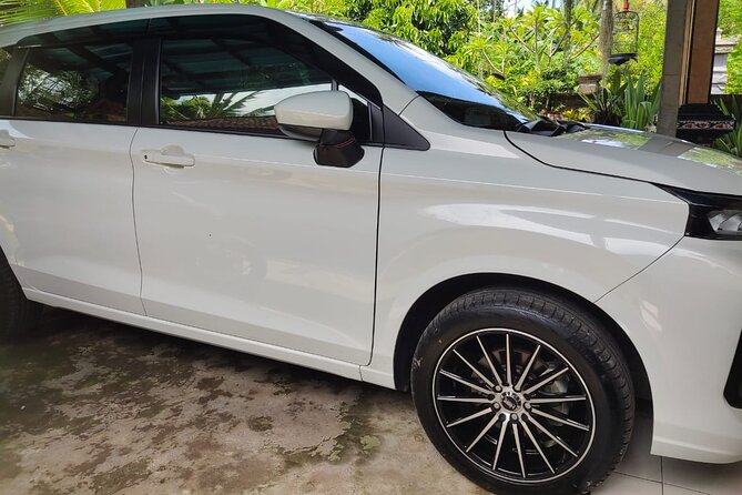 Bali Private Car and Customize Tour With English Speaking Driver - Tanah Lot at the right hour