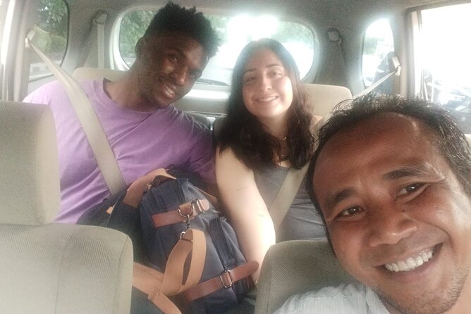 Bali Private Car and Driver – Explore the Island Your Way - What the car service includes for $61