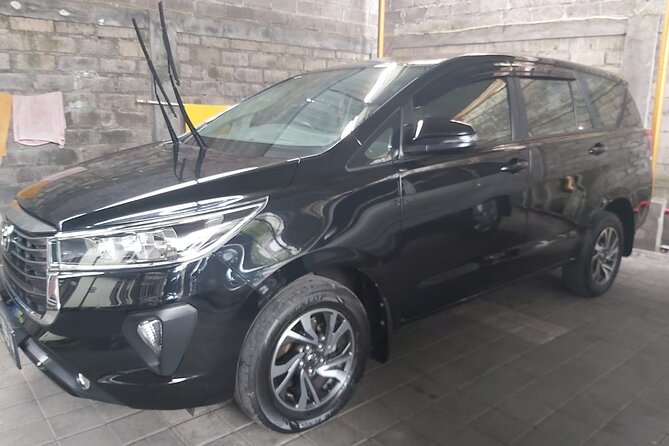 Bali Private Car Charter - What the car and driver service include