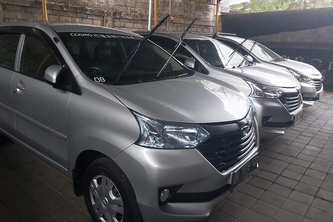 Bali Private Car Charter - Who will get the most from the experience