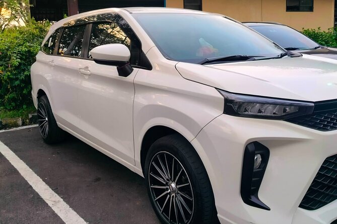 Bali Private Car Charter & Customize Tour With Driver English Speaking-Free WiFi - What this Bali car charter really offers