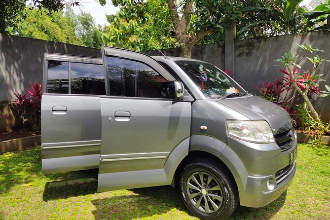 Bali Private Car Charter & Customize Tour With Driver English Speaking-Free WiFi - Tirta Empul and the meaning of a holy spring