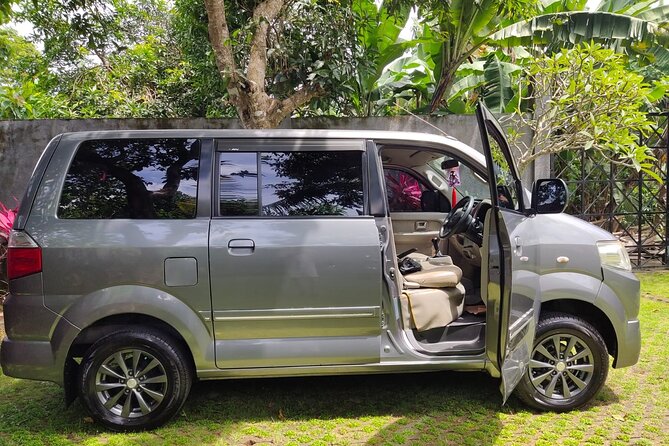 Bali Private Car Charter & Customize Tour With Driver English Speaking-Free WiFi - Tegenungan Waterfall and the cost of a full day
