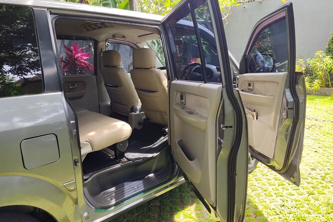 Bali Private Car Charter & Customize Tour With Driver English Speaking-Free WiFi - The far north and west options