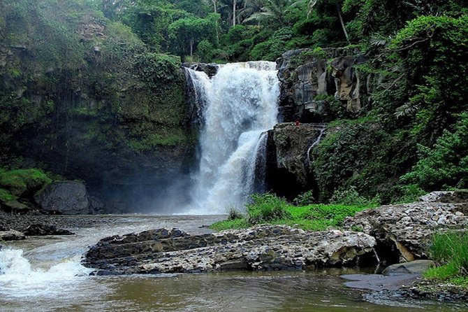 Bali Private Car Charter with English Speaking Driver - What This Bali Charter Really Offers