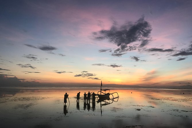 Bali Private Car Charter with English Speaking Driver - North Bali: Mount Batur, Handara, Jatiluwih, and Wanagiri
