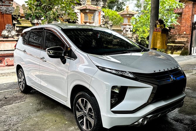 Bali Private Car Full Day Customized Tour With Drone Service - The drone service and photography