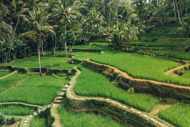 Bali Private Car Full Day Customized Tour With Drone Service - The real value of $33 per person