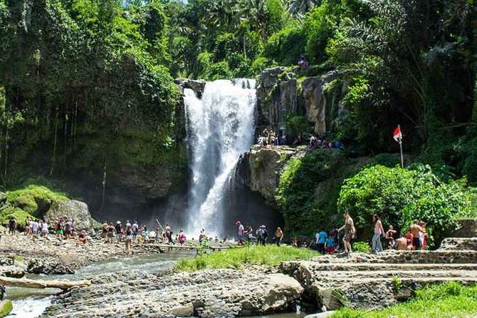 Bali Private Car Hire with Driver - Kintamani and Tirta Empul