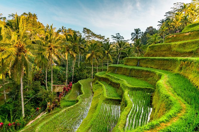 Bali Private Car Hire with Driver - South Bali, cliffs, and coastal views