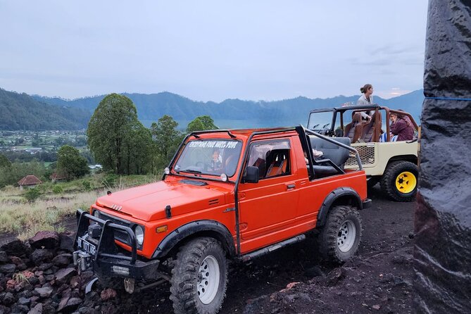 Bali Private Custom Tour - Should you book the Bali Private Custom Tour?