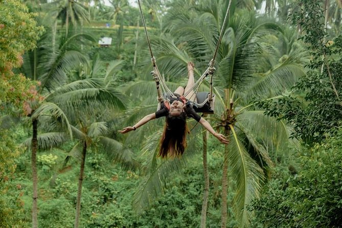 Bali Private Driver - Bali customized private tour - Kintamani, Bedugul, and Jatiluwih