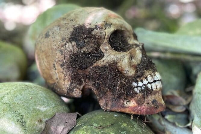 Bali Private Mystic Death Tour In Trunyan - Why this Trunyan trip is different from ordinary Bali tours