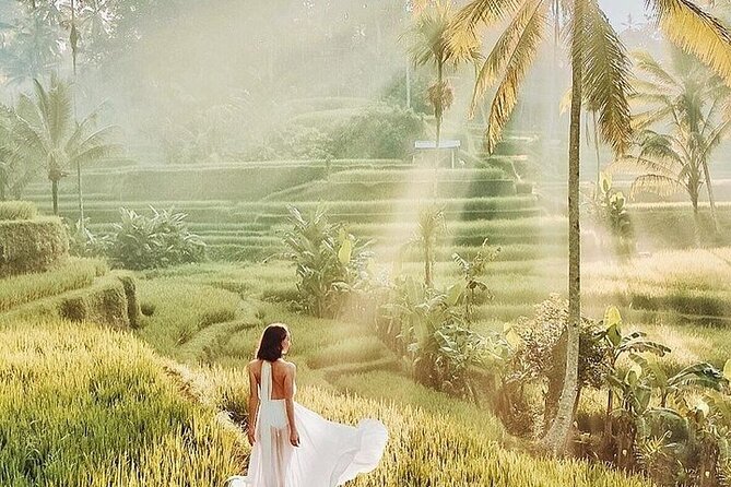 Bali Private Tour - Best of Ubud - All Inclusive - Why this private Ubud day works well